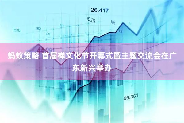蚂蚁策略 首届禅文化节开幕式暨主题交流会在广东新兴举办