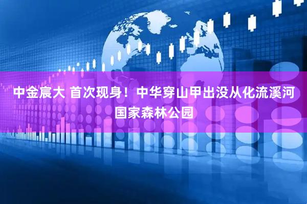 中金宸大 首次现身！中华穿山甲出没从化流溪河国家森林公园