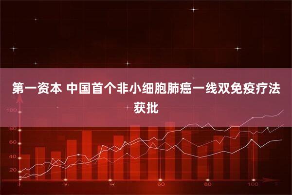 第一资本 中国首个非小细胞肺癌一线双免疫疗法获批