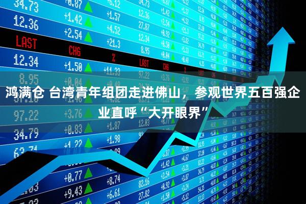 鸿满仓 台湾青年组团走进佛山，参观世界五百强企业直呼“大开眼界”