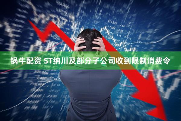 锅牛配资 ST纳川及部分子公司收到限制消费令