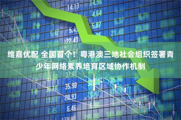 维嘉优配 全国首个！粤港澳三地社会组织签署青少年网络素养培育区域协作机制