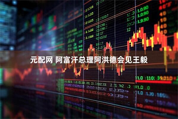 元配网 阿富汗总理阿洪德会见王毅