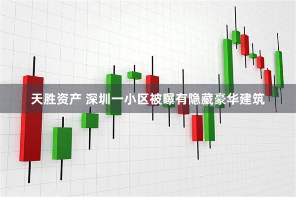 天胜资产 深圳一小区被曝有隐藏豪华建筑