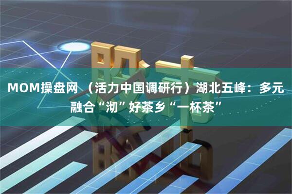 MOM操盘网 （活力中国调研行）湖北五峰：多元融合“沏”好茶乡“一杯茶”