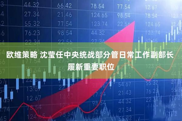 欧维策略 沈莹任中央统战部分管日常工作副部长 履新重要职位