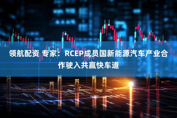 领航配资 专家:RCEP成员国新能源汽车产业合作驶入共赢快车道